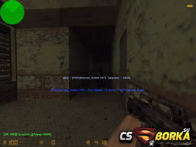 [ZP] Addon - Player name для CS 1.6